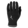 Mizuno Breath Thermo Knit Glove - Black -Sneakers Shop 421734 9030
