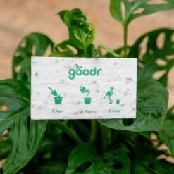 Goodr Plant Buy Me Love Sunglasses -Sneakers Shop 4 LaunchName Packaging bf5e7c83 e295 41c8 9cd2 206d3d9c90d4