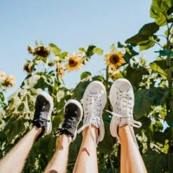 Women's X-SCAPE NBK Low Sneaker - Blanc/Light Grey - Regular (B) -Sneakers Shop womens x scape nbk low blanc light grey ls 3 800x 70e971bc eee0 4189 bdde 434a0688a562